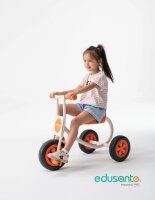 Edusante Trike groß