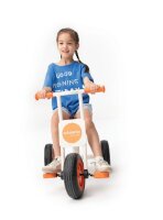 Edusante Trike groß