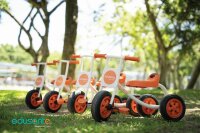 Edusante Trike groß