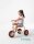 Edusante Trike groß