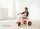 Edusante Trike groß