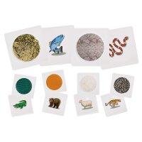 Fühlkarten 6er Set 36