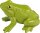 Lebenszyklen Frosch