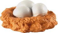 Lebenszyklus Huhn Eier im Nest