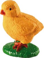 Lebenszyklus Huhn Küken