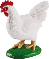 Lebenszyklus Huhn ausgewachsen