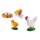 Lebenszyklus Huhn