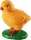 Lebenszyklus Huhn Küken