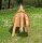 Holzpferd 50 cm