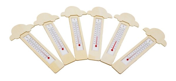 Thermometer DIY Autos 6er Set 656