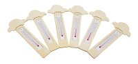 Thermometer DIY Autos 6er Set 656