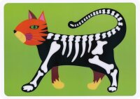 Röntgenbild Katze für Kinder