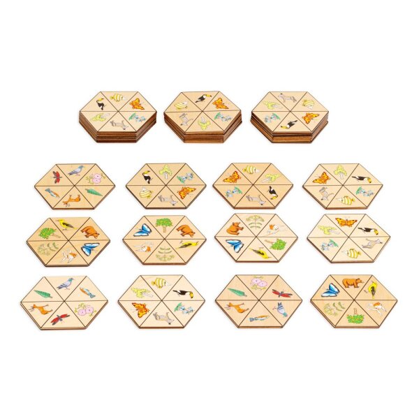Zuordnungsspiel Hexagon Natur