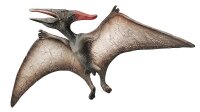 Pteranodon Spielfigur 85