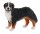 Berner Sennenhund Spielfigur 168
