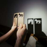 Schattenspiel afrikanische Savanne