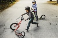 Hort Roller Blau