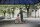 Hort Roller Blau