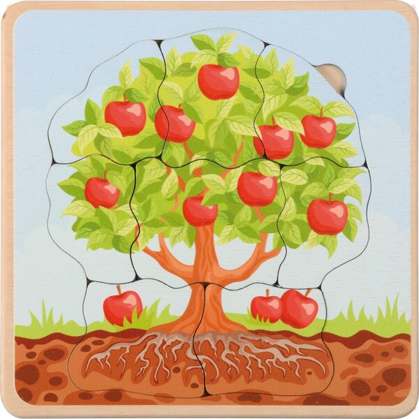 Lebenszyklen Puzzle Apfelbaum