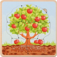 Lebenszyklen Puzzle Apfelbaum