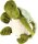 Gewichtstier Schildkröte Siegfried sitzend
