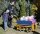 Kinderbus 6 Kinder