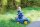 Multi Truck blau