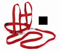 Laufleine Kinder rot