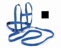 Laufleine Kinder blau
