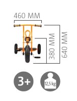 Dreirad Taxi TopTrike mit Details