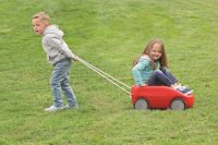 Ziehwagen Caddy Kinder auf der Wiese
