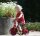 Mini Bike Runner mit Junge