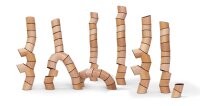 Loggos 75 Teile Buche 88