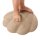 Squishy Tactile Shell, 6-tlg.