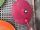 STEM Wand Becken