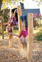 Doppelreck Robinie
