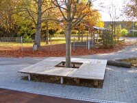 Liegedeck um Herbstbaum aufgestellt