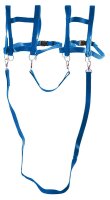 Laufleine Zweispaenner blau