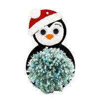Pompon-Anhänger Weihnachten Pinguin