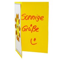 Stickkarton, bedruckt Karte Innenseite
