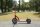 Roller groß Kindergarten Seite