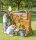 Outdoor Wasserwand Kinder in Aktion