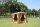 Outdoor Chillout Lounge