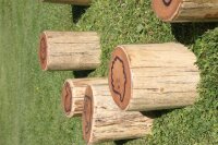 Outdoor Balancierpfad Detail Befestigungs-Anker