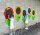 Blumen-Tafeln, In- und Outdoor, 5er Set