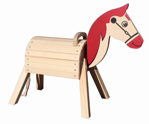 Pony Woody von seitlich vorn