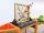 Activity Tisch Starter Set, 5-tlg.