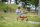 Runder Laufwagen Winther