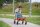 Runder Laufwagen Winther
