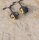 Roller mit Spuren im Sand